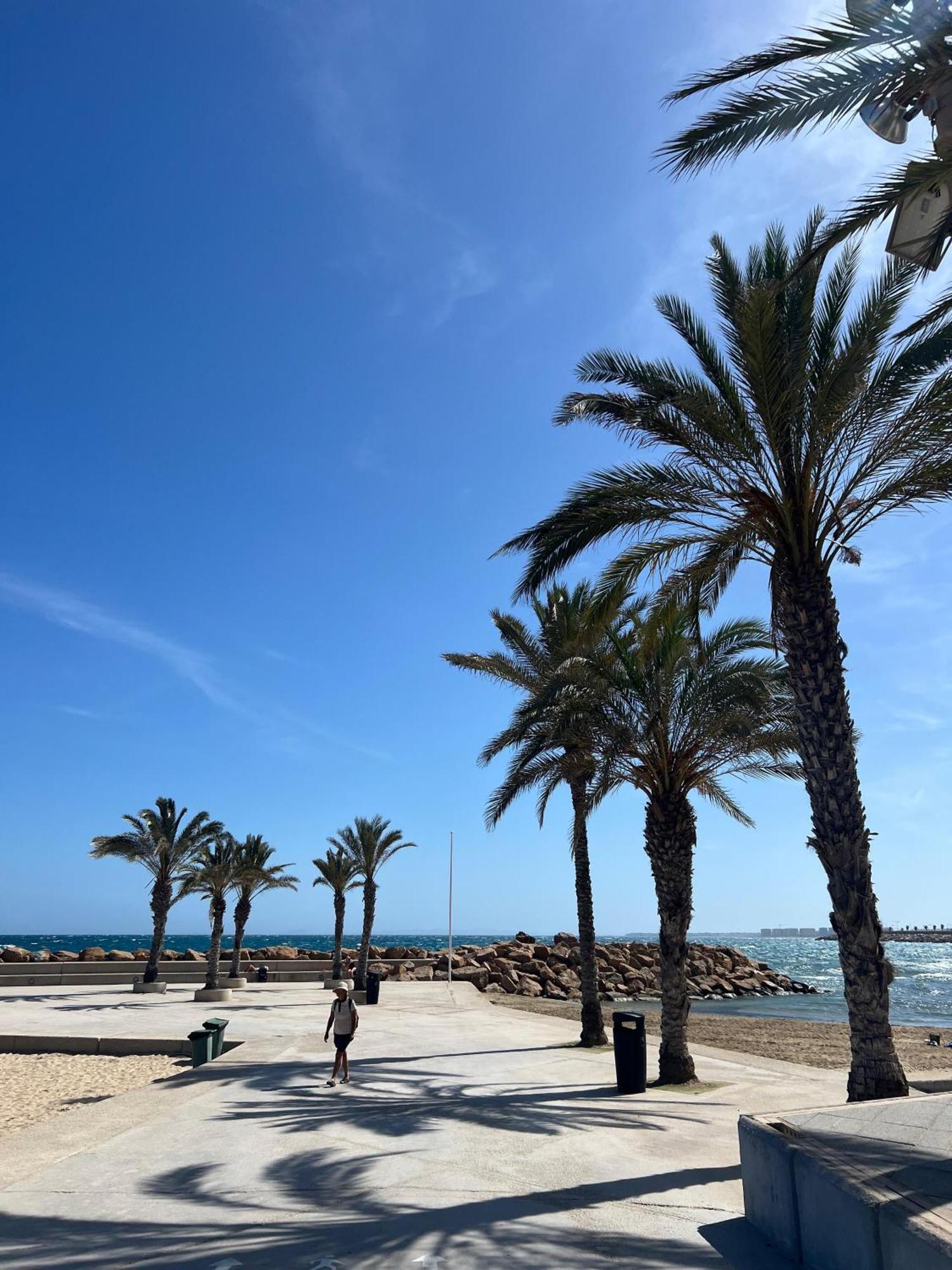 Appartement Torrevieja Alicante Bagian luar foto