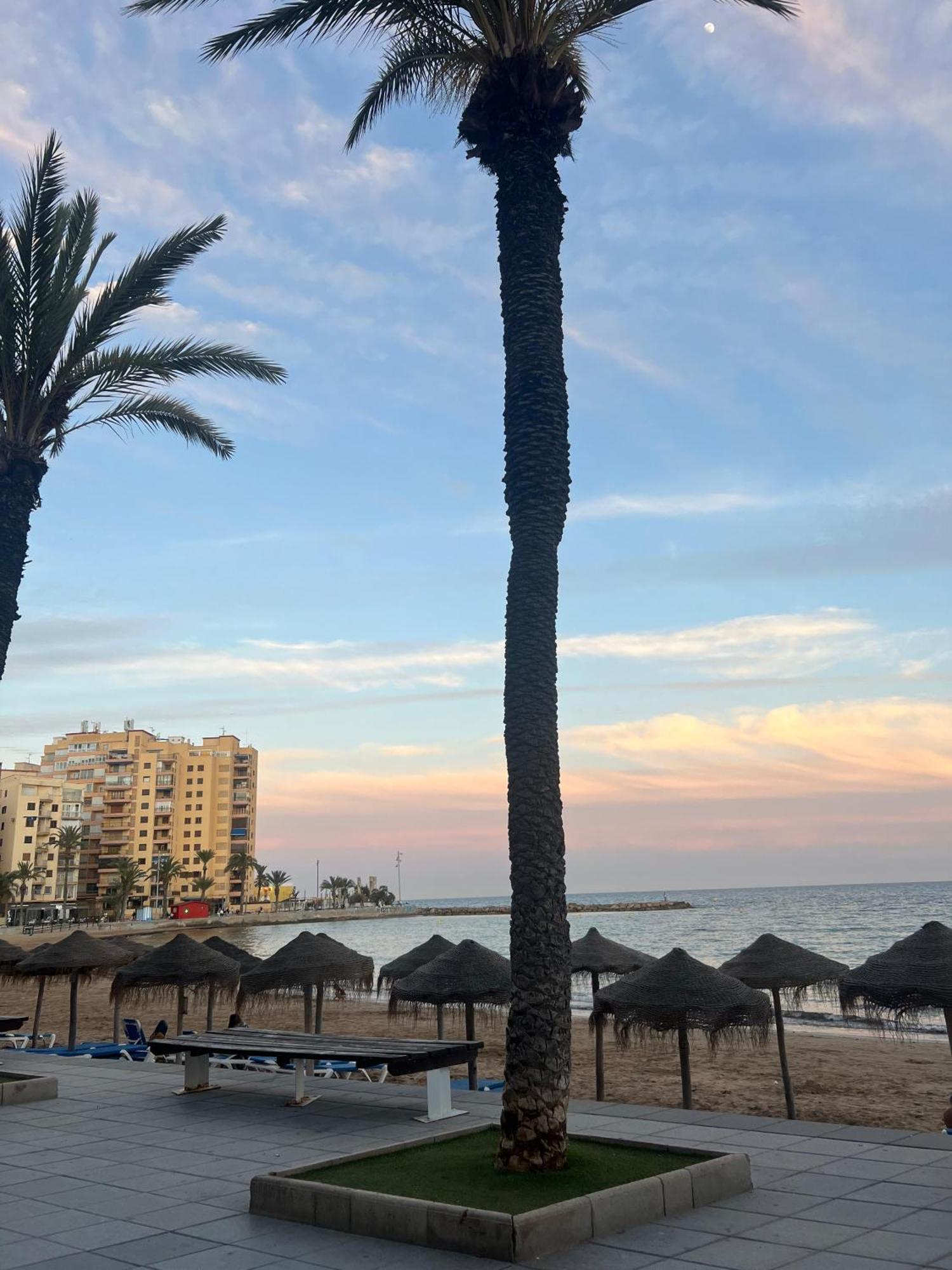 Appartement Torrevieja Alicante Bagian luar foto