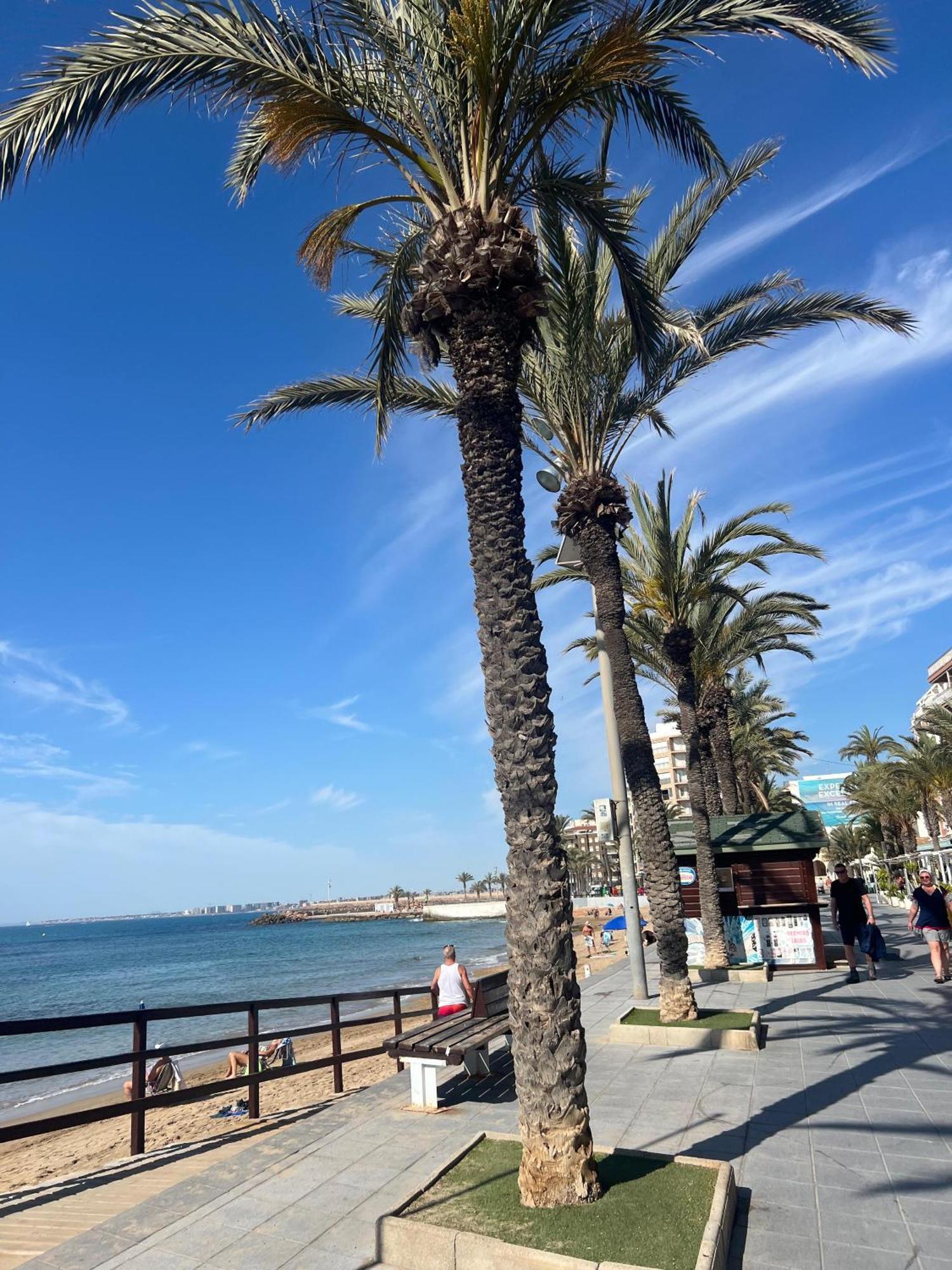 Appartement Torrevieja Alicante Bagian luar foto